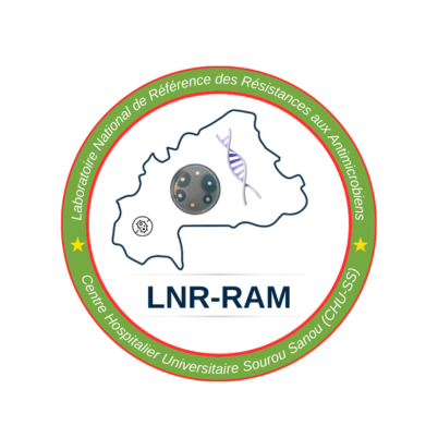 LNR-RAM